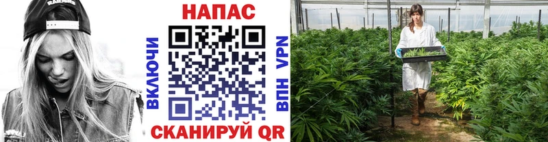 купить наркотики цена  Усолье-Сибирское  Шишки марихуана тримм 